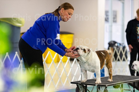 cavinessphoto_candids_CCP3174