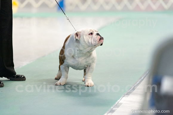 cavinessphoto_candids_CCP3176