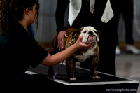 cavinessphoto_candids_CCP0002