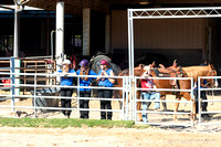 riders_CCP5105