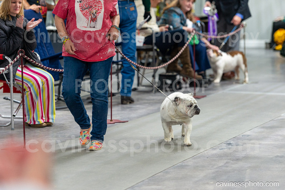 cavinessphoto_candids_CCP4248