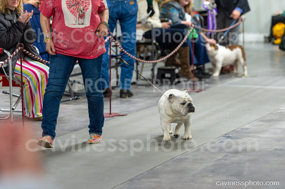 cavinessphoto_candids_CCP4250