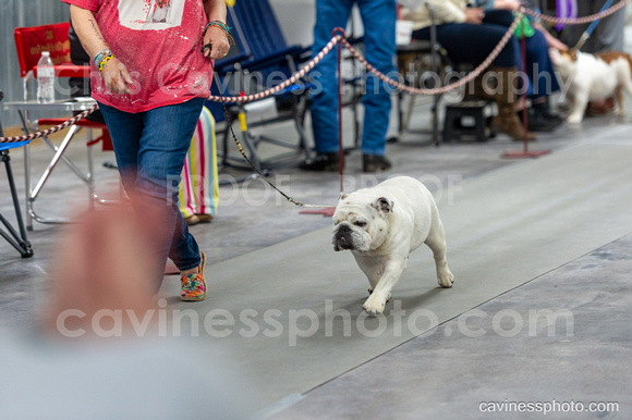 cavinessphoto_candids_CCP4252