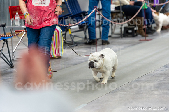 cavinessphoto_candids_CCP4253