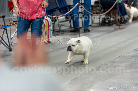 cavinessphoto_candids_CCP4254