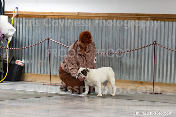 cavinessphoto_candids_CCP3490