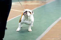 cavinessphoto_candids_CCP1632