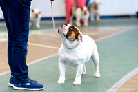 cavinessphoto_candids_CCP1643