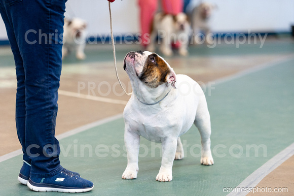 cavinessphoto_candids_CCP1643