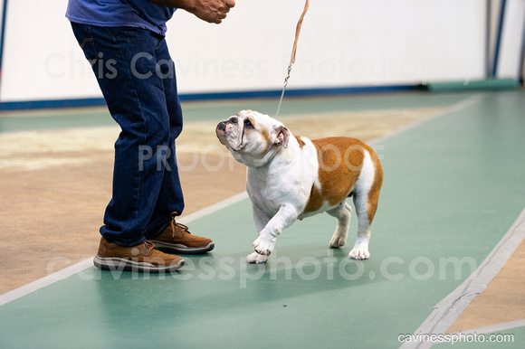 cavinessphoto_candids_CCP6360