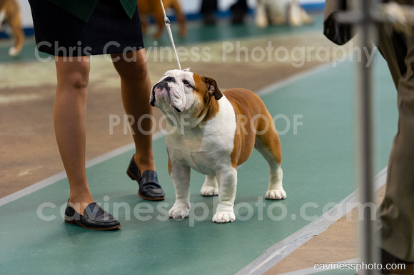 cavinessphoto_candids_CCP6485