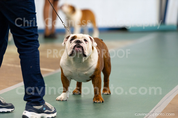 cavinessphoto_candids_CCP6495