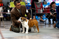 cavinessphoto_candids_CCP8488
