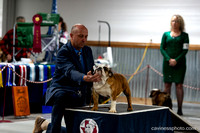 cavinessphoto_candids_CCP8668