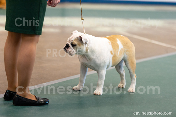 cavinessphoto_candids_CCP1410