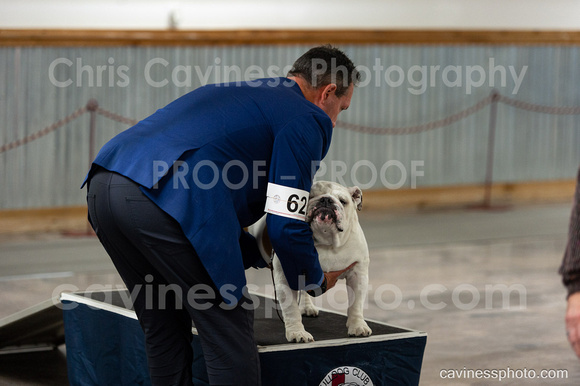 cavinessphoto_candids_CCP8310