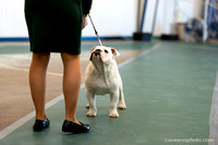 cavinessphoto_candids_CCP1345