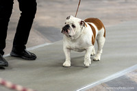 cavinessphoto_candids_CCP9639