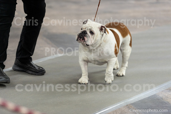 cavinessphoto_candids_CCP9639