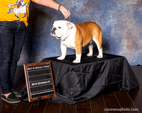 cavinessphoto_wins_CCP3393