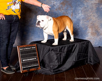 cavinessphoto_wins_CCP3391