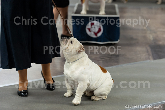 cavinessphoto_candids_CCP9670