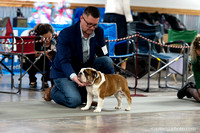 cavinessphoto_candids_CCP8489