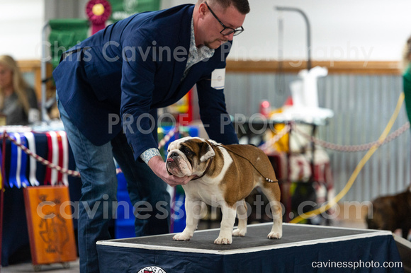 cavinessphoto_candids_CCP8498