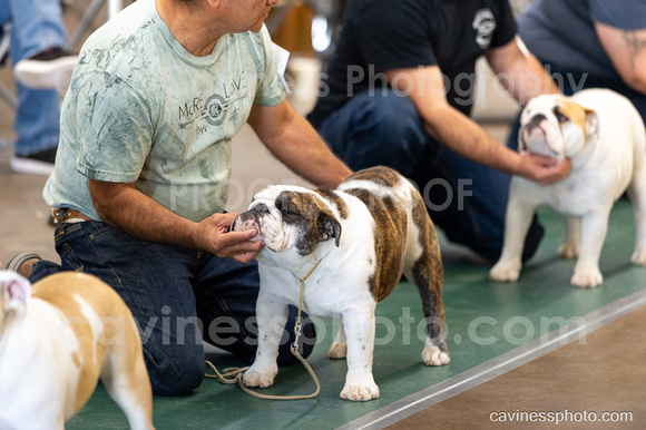 cavinessphoto_candids_CCP1403