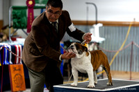 cavinessphoto_candids_CCP8493