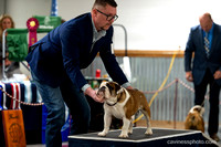 cavinessphoto_candids_CCP8659