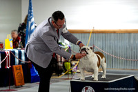 cavinessphoto_candids_CCP9635