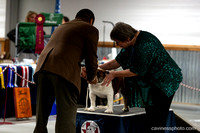 cavinessphoto_candids_CCP8657
