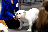 cavinessphoto_candids_CCP9659
