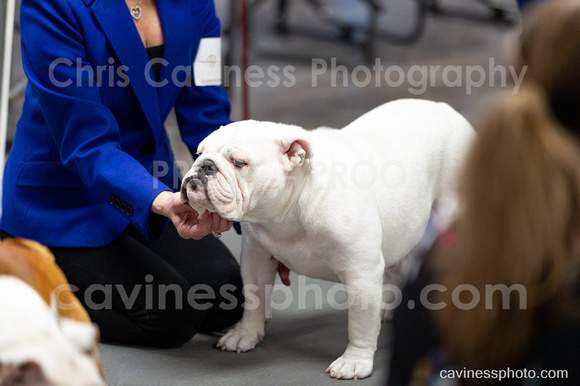 cavinessphoto_candids_CCP9659