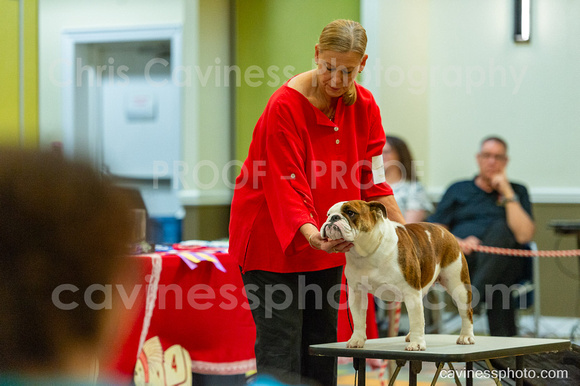 cavinessphoto_candids_CCP3063