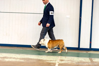 cavinessphoto_candids_CCP0793
