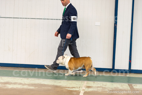 cavinessphoto_candids_CCP0793