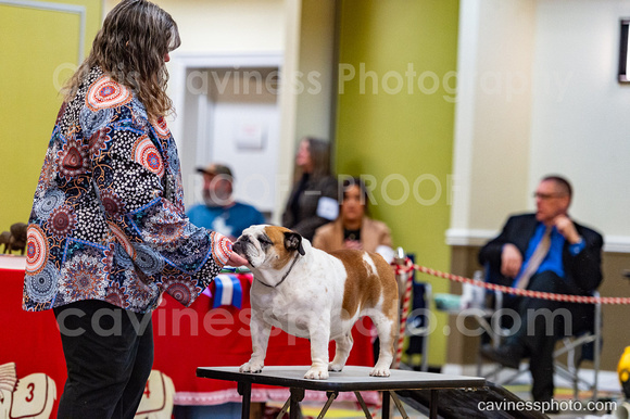 cavinessphoto_candids_CCP2432