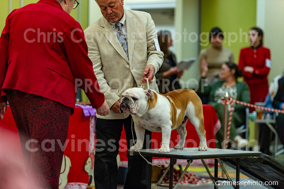 cavinessphoto_candids_CCP2756