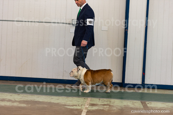 cavinessphoto_candids_CCP0791