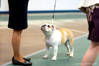 cavinessphoto_candids_CCP0670