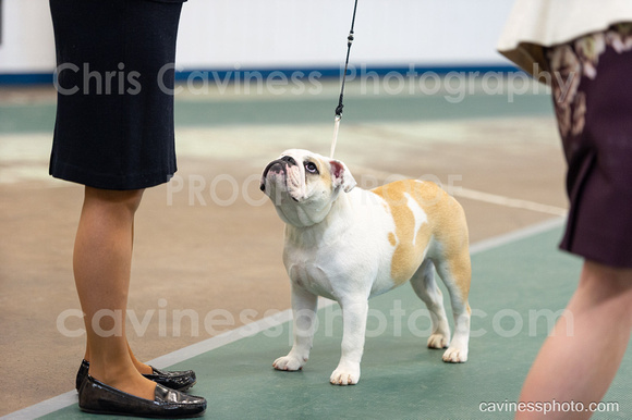 cavinessphoto_candids_CCP0670