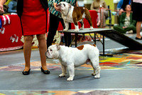 cavinessphoto_candids_CCP2532