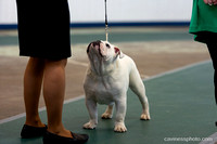 cavinessphoto_candids_CCP0933