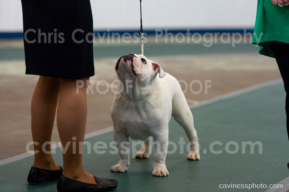cavinessphoto_candids_CCP0933