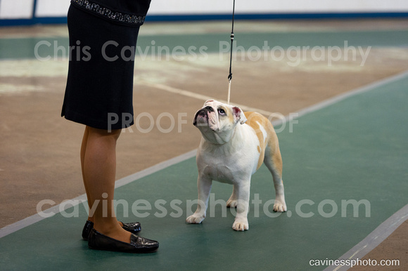 cavinessphoto_candids_CCP0998