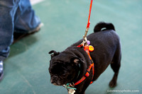 cavinessphoto_candids_CCP0503