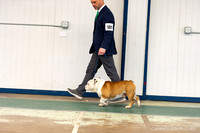 cavinessphoto_candids_CCP0788