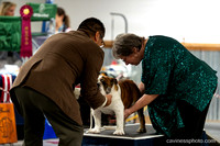 cavinessphoto_candids_CCP8658